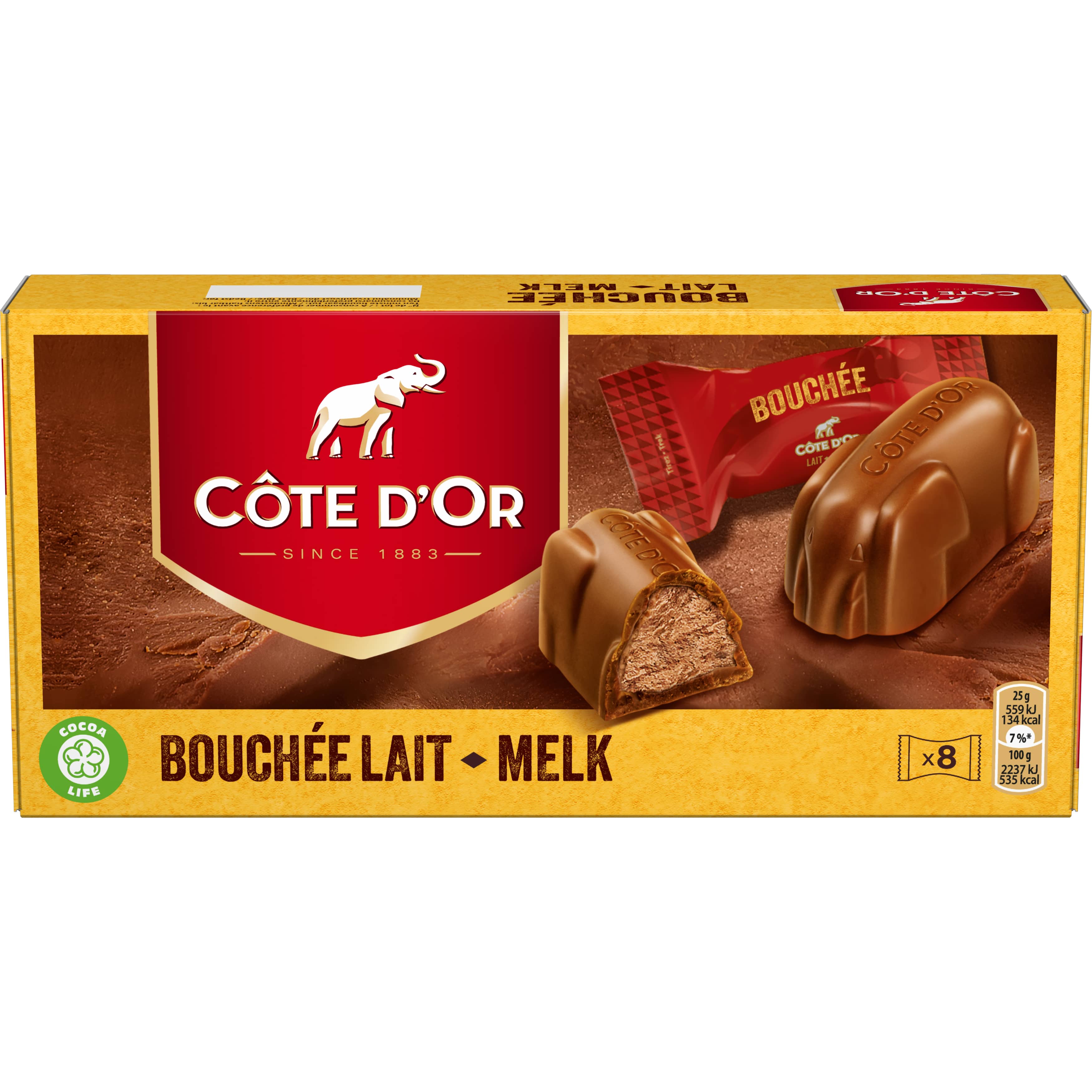 Barre chocolat praliné big nuts 75 g Cote D'Or