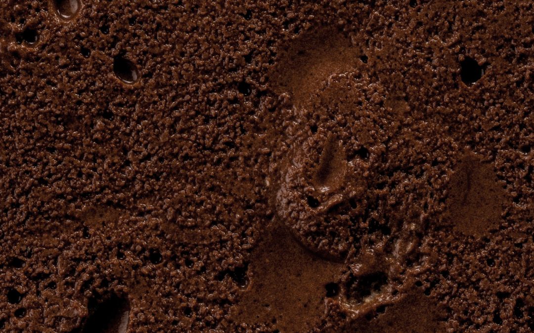Cacao Barry Egg White-Based Mousse