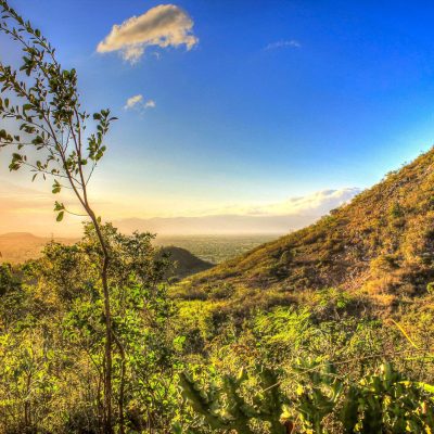 Haiti Aesthetic