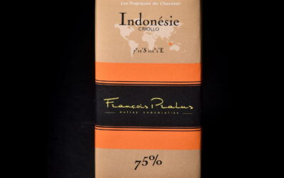SALE François Pralus Indonésie 75% Dark Chocolate Bar