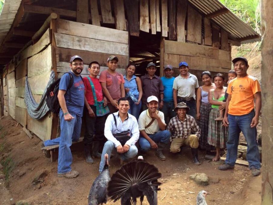 Goodnow Farms Ashocivite Guatemala On Site