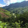 Goodnow Farms Asochivite Guatemala Landscape