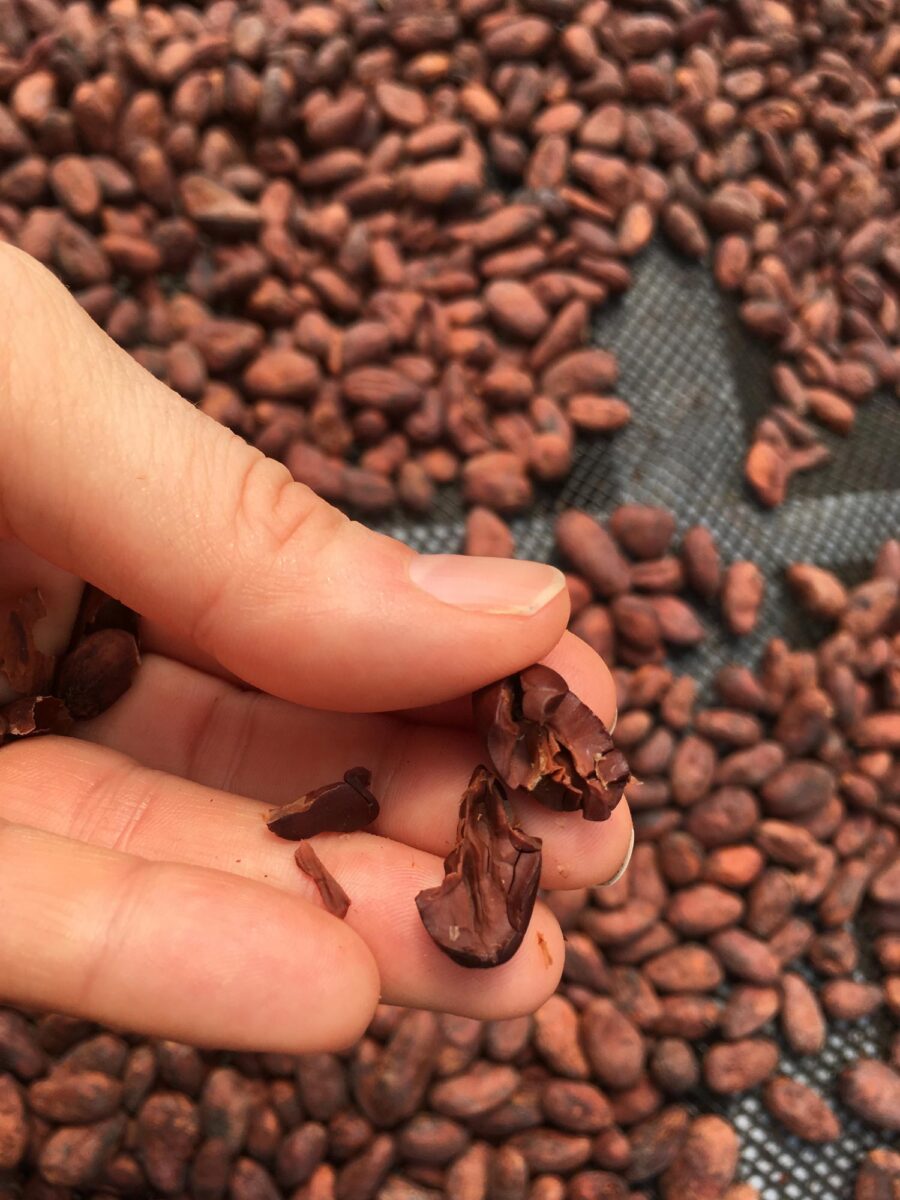 Goodnow Farms Boyacá Colombia Cocoa Beans