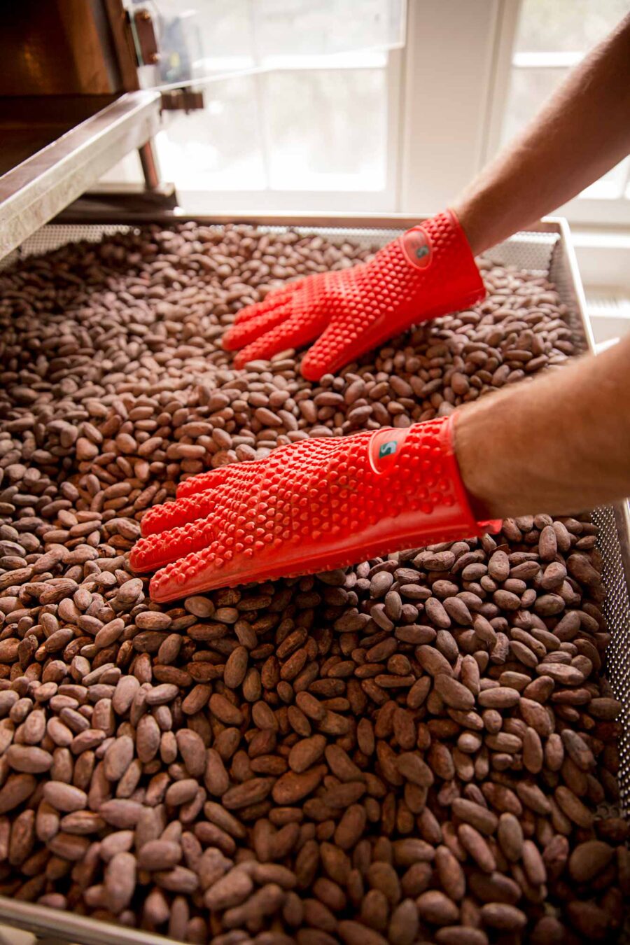 Goodnow Farms Esmeraldas Ecuador Cocoa Beans