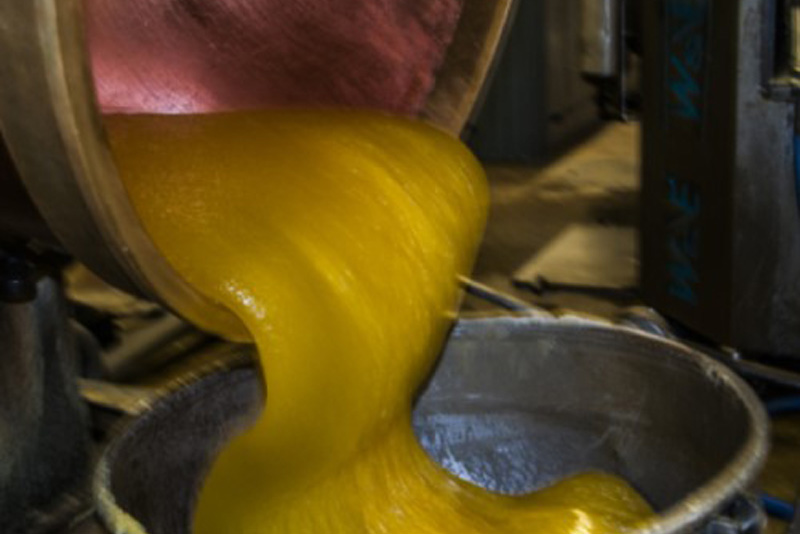 napoleon processing napoleon processing