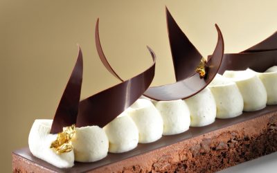 Felchlin Maracaibo & Vanilla Entremet