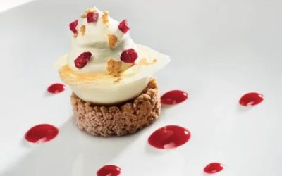 Valrhona Raspberry White Chocolate Twist