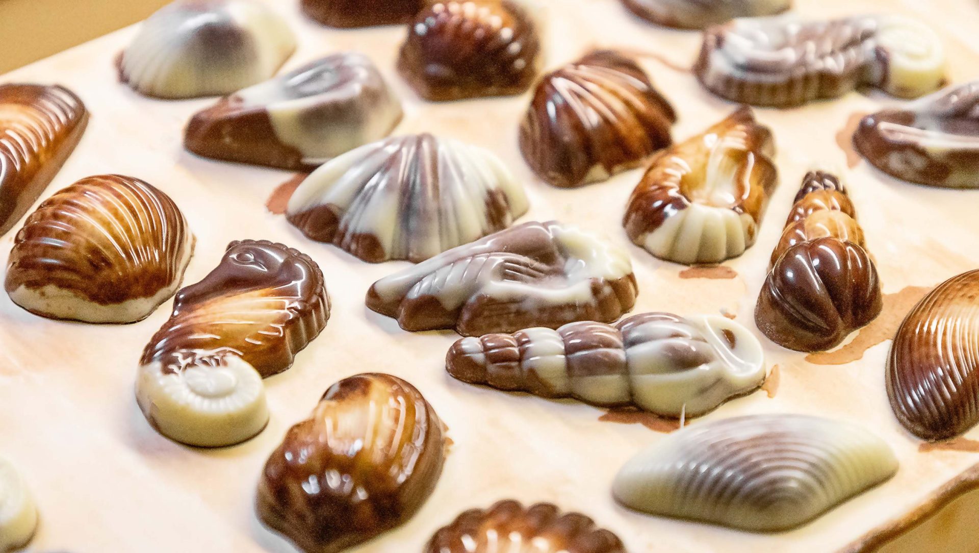 Guylian Chocolate Seashells Production Line-min