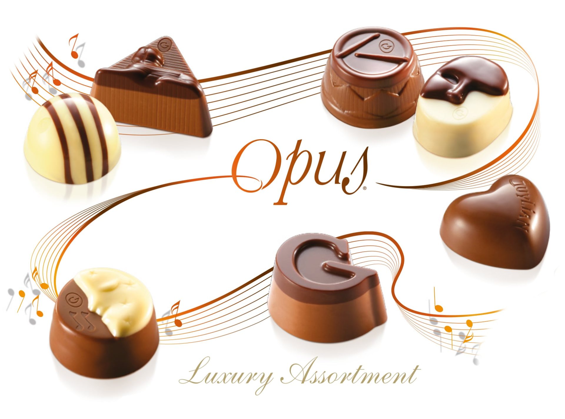 Guylian Opus Chocolate Range-min