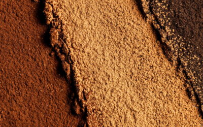 Unveiling the Secrets of Dutch and Natural Process Cocoa Powder