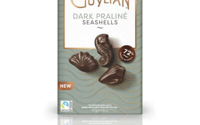 SALE 30% Off Orig. Price Guylian 10-Piece 72% Dark Chocolate Seashells with Dark Praliné