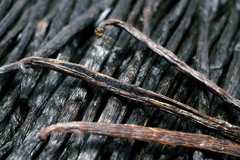 Prova Gourmet Vanilla Beans Lifestyle