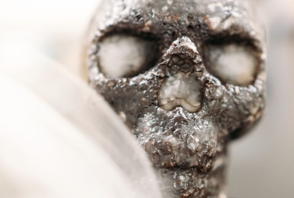 deZaan Chocolate Skull Cake