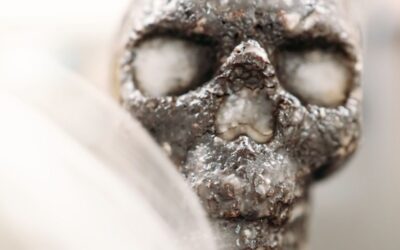 deZaan Chocolate Skull Cake
