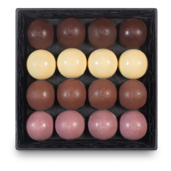 Guido Gobino Assorted Chocolate Semisphere Praline Box (110g) Top