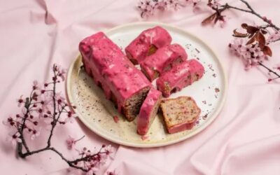 Valrhona Raspberry & Hibiscus Glazed Travel Cake