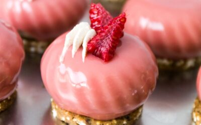deZaan Petit Cocoa Raspberry Cheesecake Gateaux