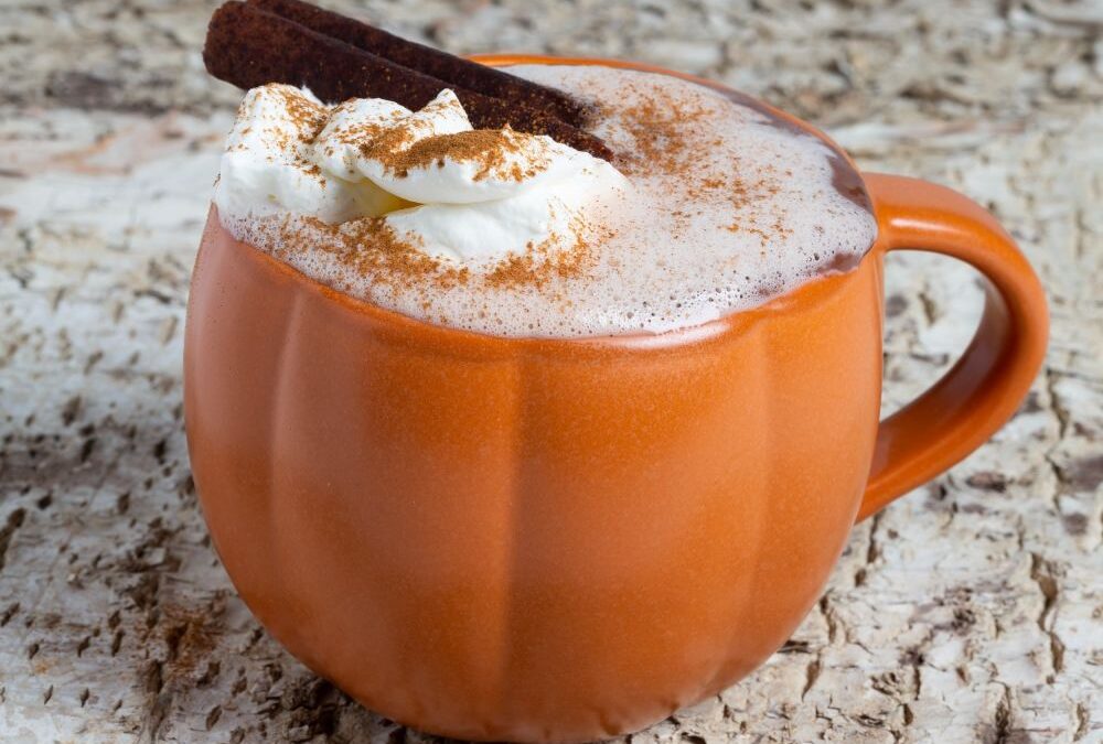 deZaan Pumpkin Spiced Hot Cocoa