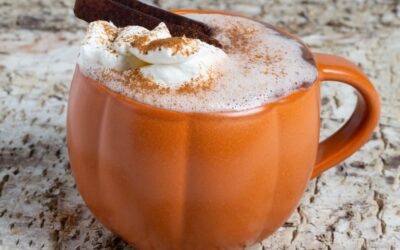 deZaan Pumpkin Spiced Hot Cocoa