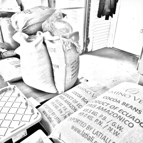 Crow & Moss Weighing + Hand Sorting Crow & Moss Weighing + Hand Sorting