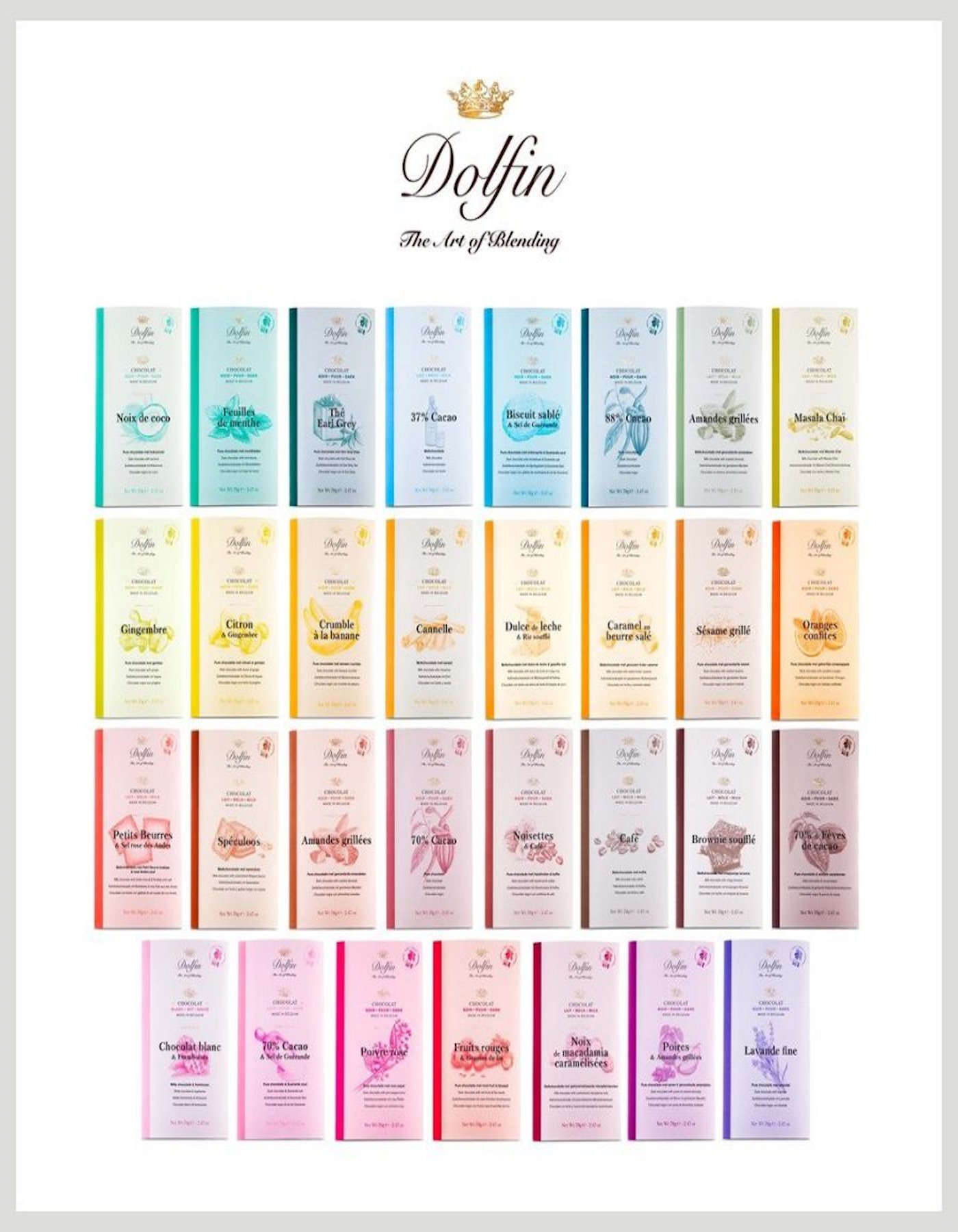 Dolfin Flight Lifestyle