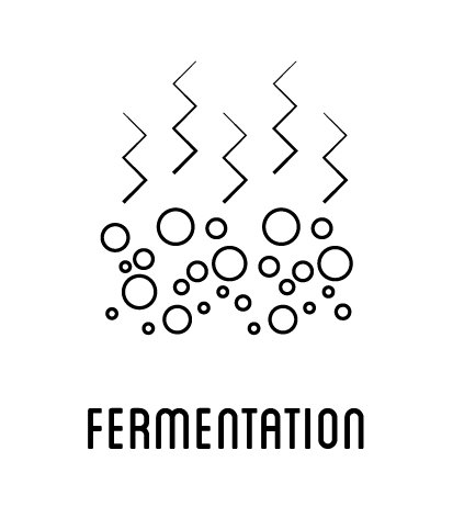 Omnom Fermentation Lifestyle Omnom Fermentation Lifestyle