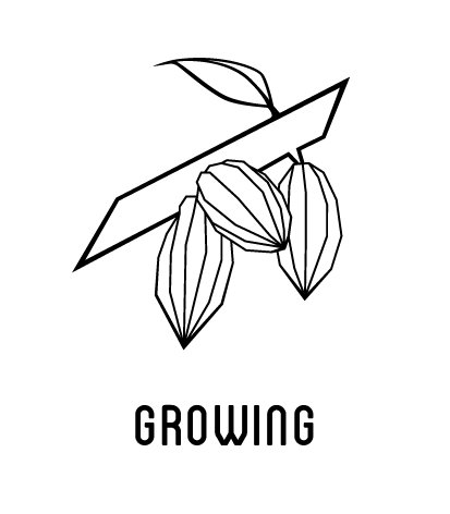 Omnom Growing Lifestyle Omnom Growing Lifestyle