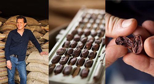 Willie's Cacao Beans Lifestyle