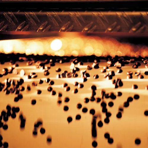 Callebaut 1988