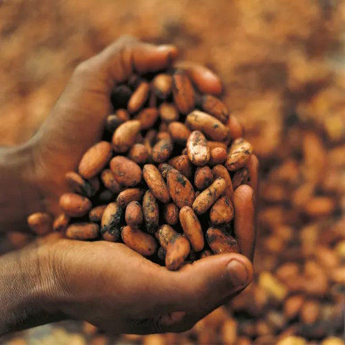 Callebaut 2012 Callebaut 2012