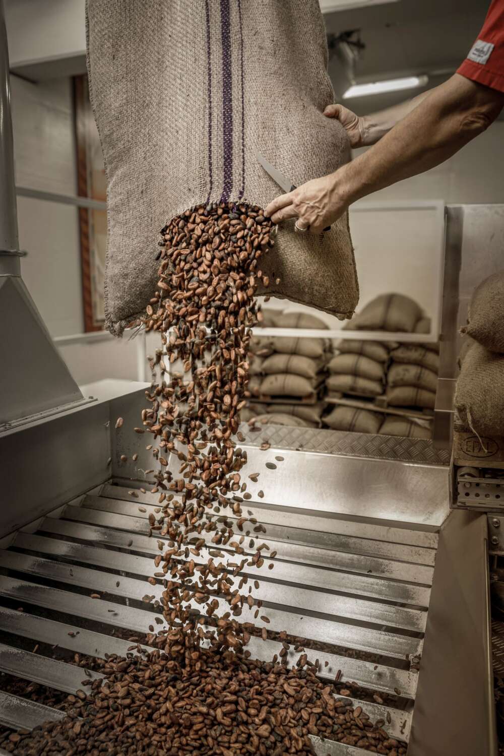 Felchlin Cleaning and Roasting Lifestyle Felchlin Cleaning and Roasting Lifestyle