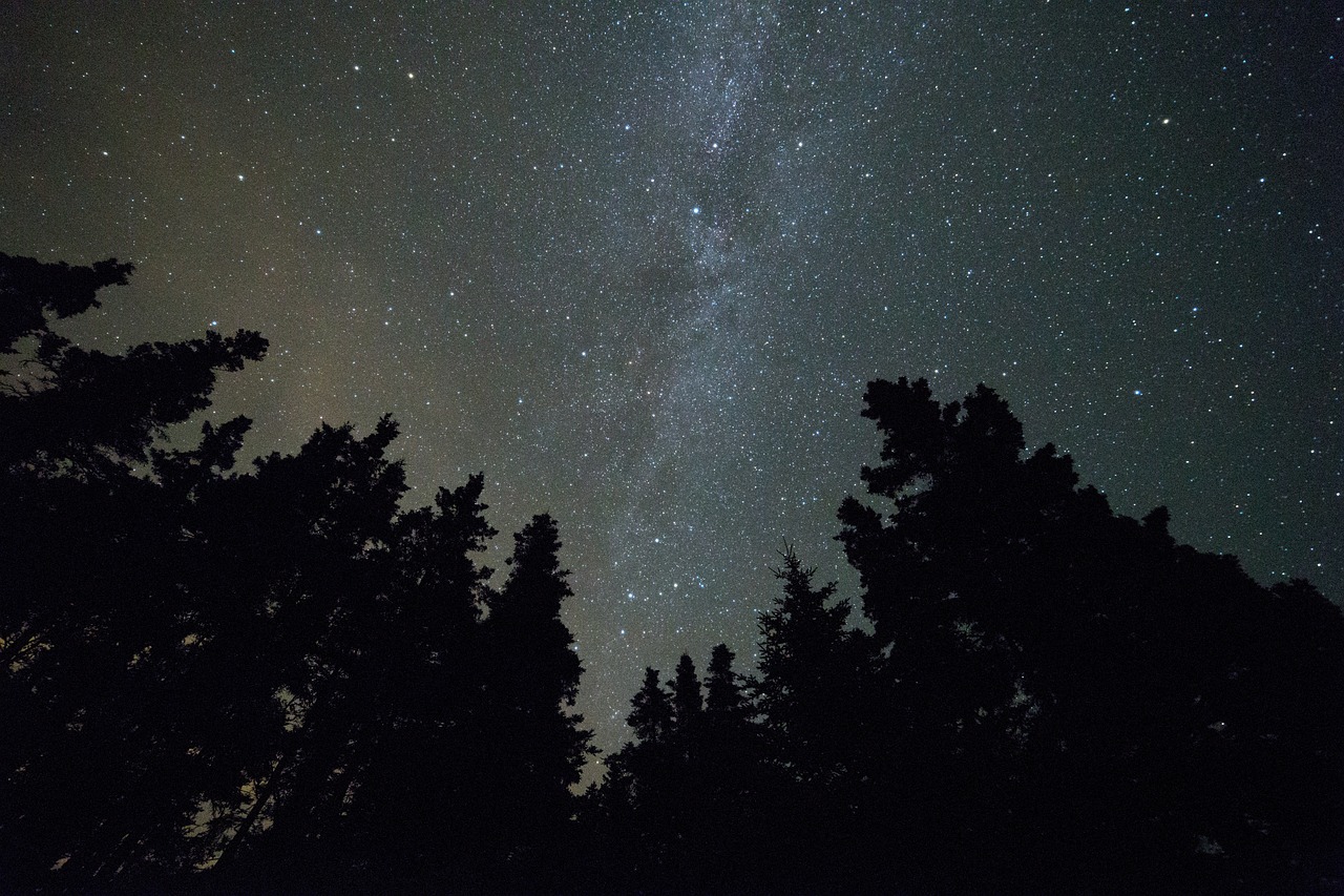 constellations lifestyle constellations lifestyle