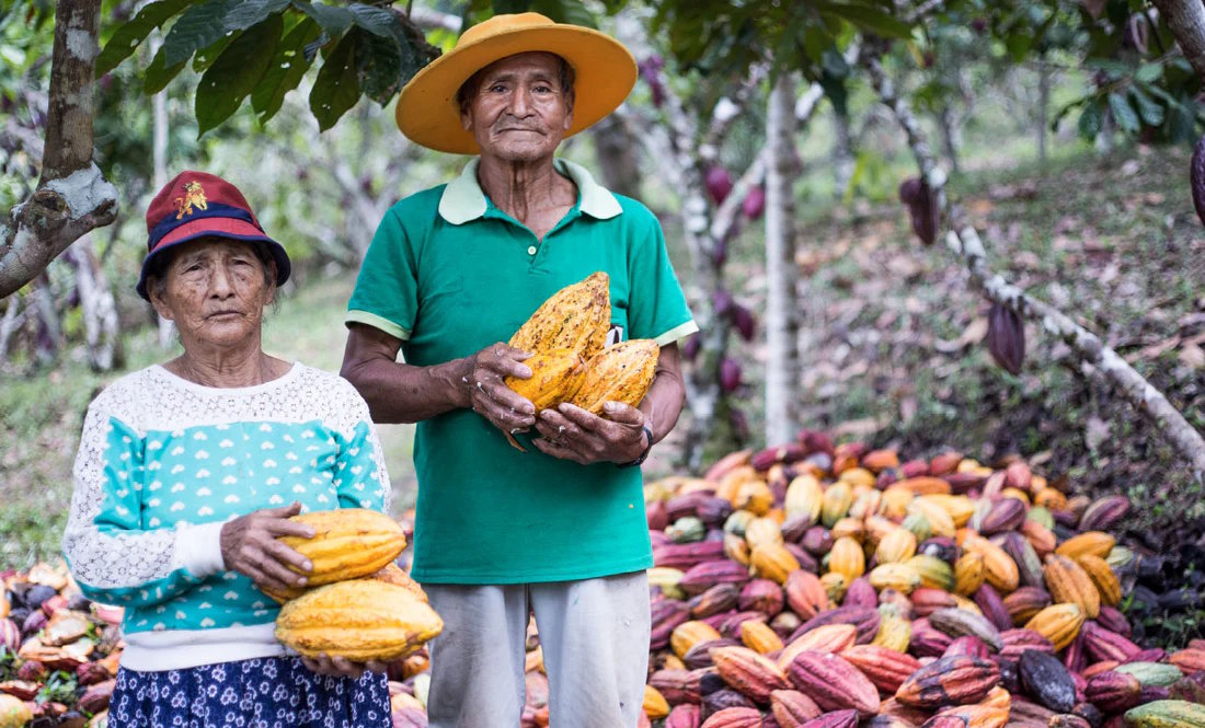 obolo-catering-lifestyle