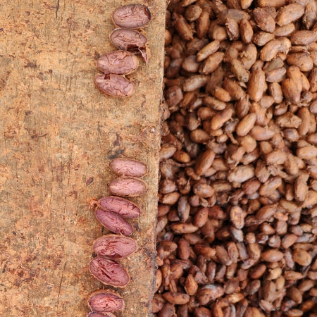 obolo-fermentation-lifestyle