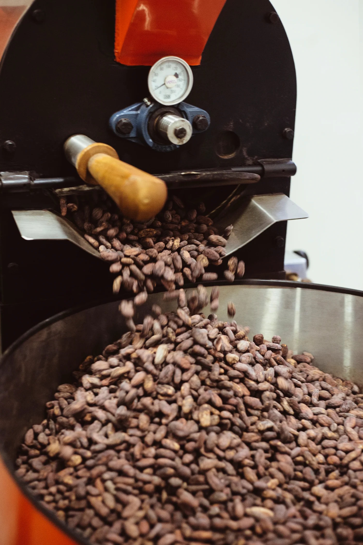 obolo-toasted-lifestyle