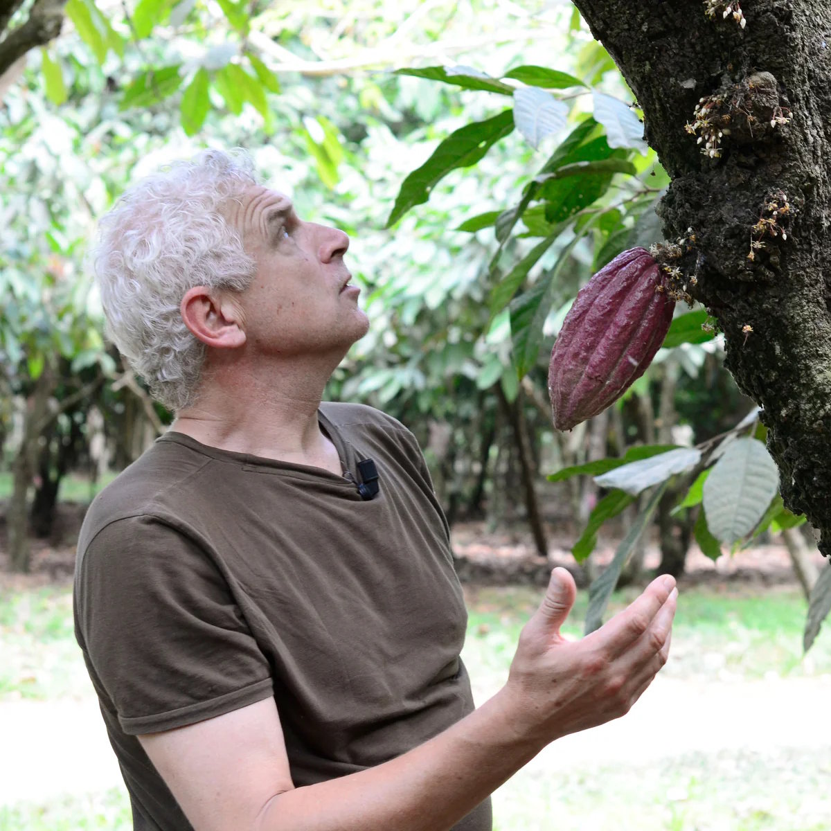 francois pralus harvesting lifestyle francois pralus harvesting lifestyle