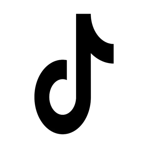 tiktok icon lifestyle