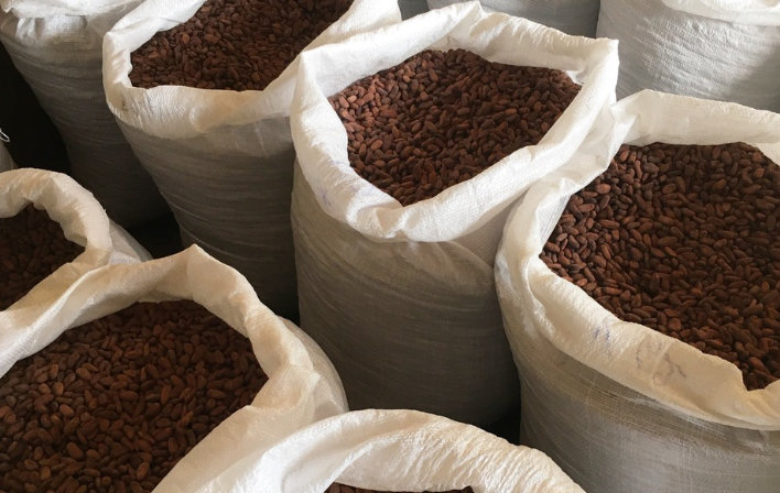 Baiani Aging Lifestyle