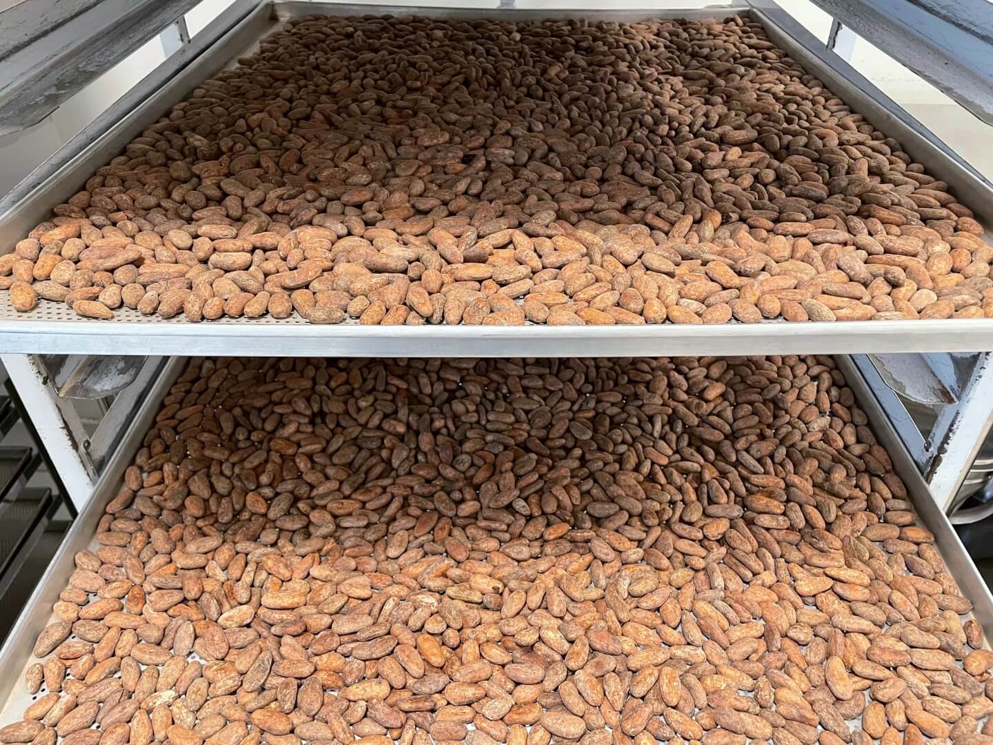 Baiani Roasting Lifestyle