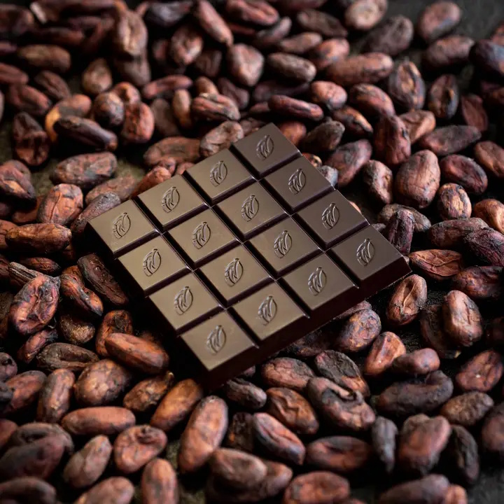 Willie's Cacao Pure Gold Sur del Lago Venezuela 100% Cacao Bar Open Lifestyle