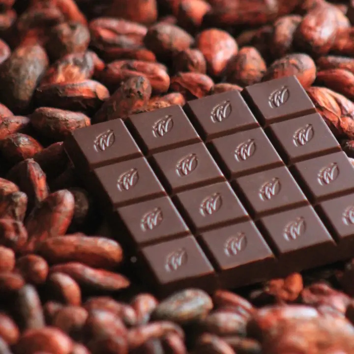 Willie's Cacao San Vicente Gold Colombia 95% Dark Chocolate Bar Open Lifestyle