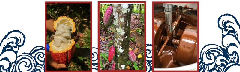 Bixby Chocolate Process Lifestyle