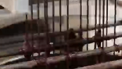 Bixby Chocolate Rain Lifestyle