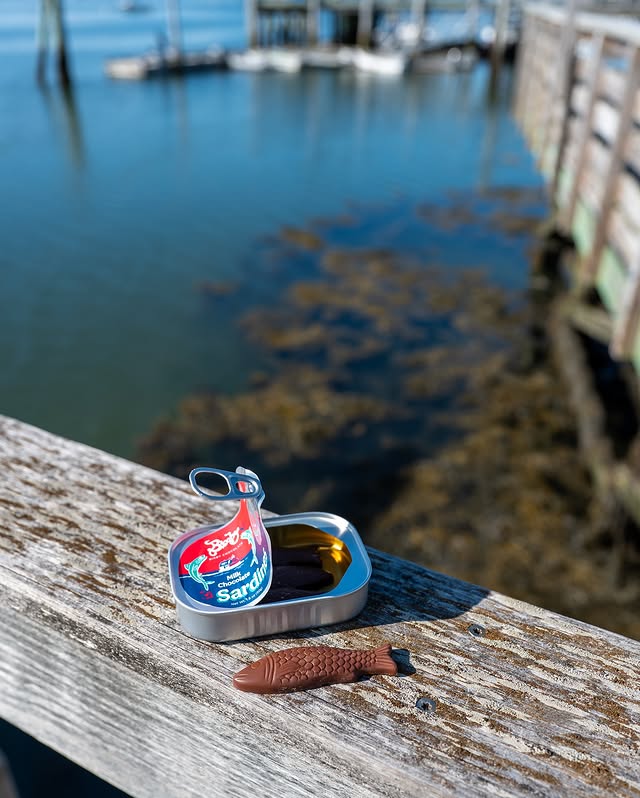 Bixby Chocolate Milk Chocolate Sardines Lifestyle