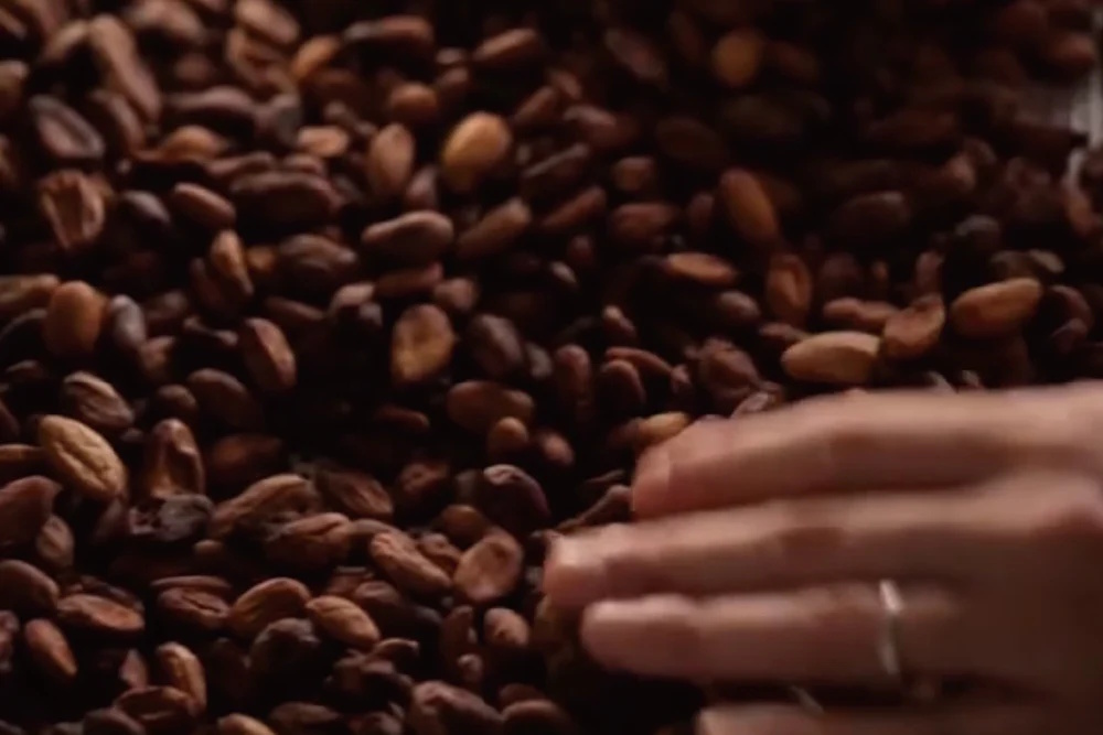 KESSHŌ Handpick Lifestyle