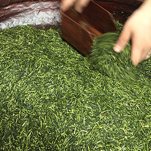 Willie's Cacao Matcha Lifestyle