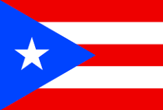 puerto Rico Vietnam Flag