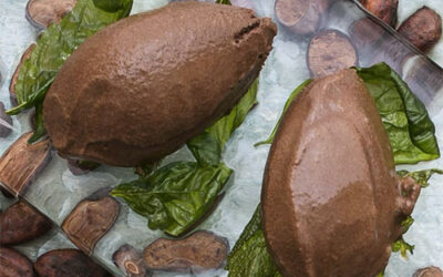 Willie’s Cacao Dark Chocolate Sorbet