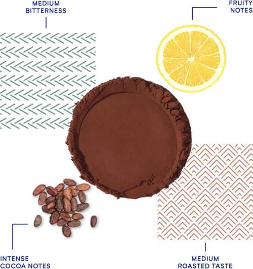 deZaan D23A 22-24% Dutched Cocoa Powder Flavor Profile